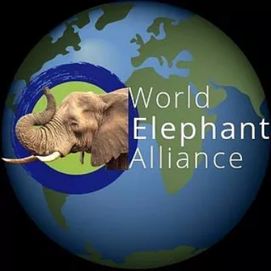 World Elephant Alliance